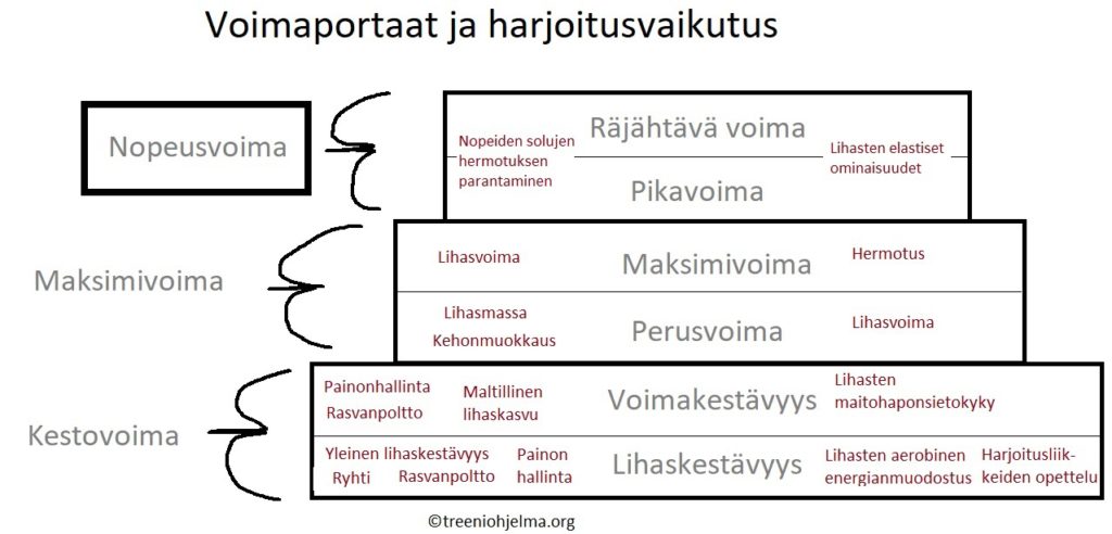 Voimaportaat - nopeusvoima